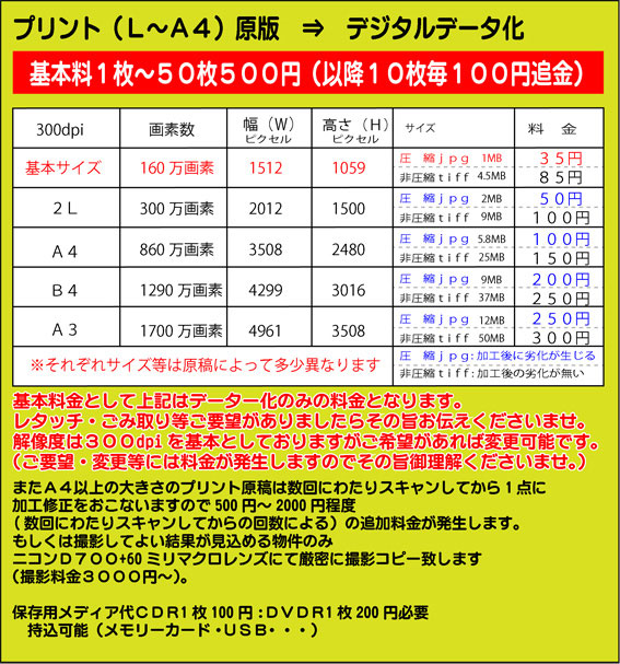 データ化