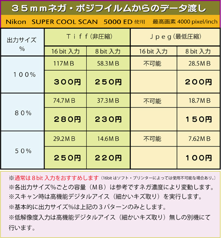 ネガポジスキャン